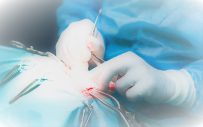 JCUWoDSV9ADvosGjT7Av.jpeg?w=940&h=940