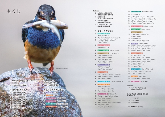 『せかいのカワセミ』もくじ