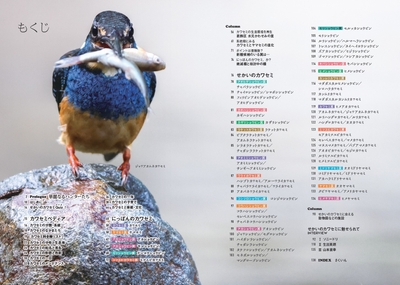 『せかいのカワセミ』もくじ