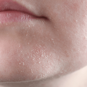 JDBotbvc03u1ZdogE48P.png?w=940&h=940