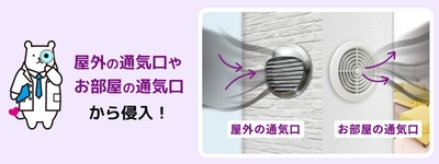 JE4ntpBBaFvJUQ2qvdcV.jpg?w=940&h=940