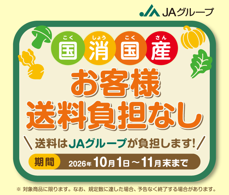 本家の約16倍の大きさの“チョコあ～んぱん” ブルボン、「おっきなチョコあ～んぱん」を 10月5日(月)からプチモール・当社通信販売にて順次販売開始！