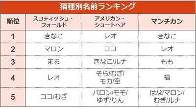 猫の名前ランキング2019（猫種別）