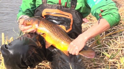 JEcGM4lFDiQ84IXFWF3S.jpg?w=940&h=940