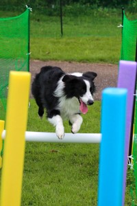 JHFoZvkWuxqK2NKVTOdJ.jpg?w=940&h=940