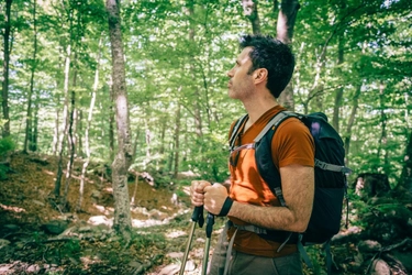 日本のエコツーリズム市場は2033年までに11.47%の成長率で345億4,285万米ドルに達すると予測