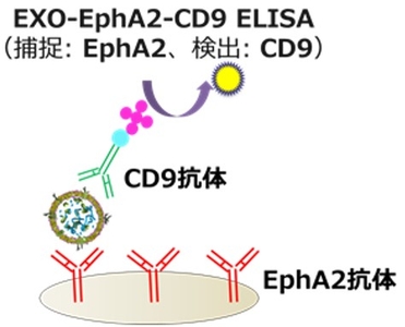 JIgO3FsmydrS33hVegaW.jpg?w=940&h=940