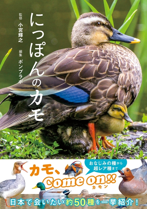 『にっぽんのカモ』書影