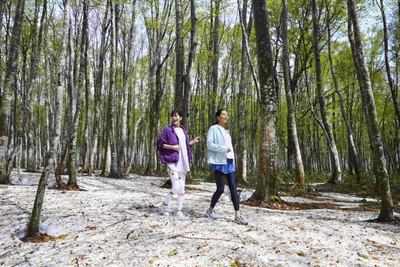 JJaMbQ4Oy8sowfXNYdQ7.jpg?w=940&h=940