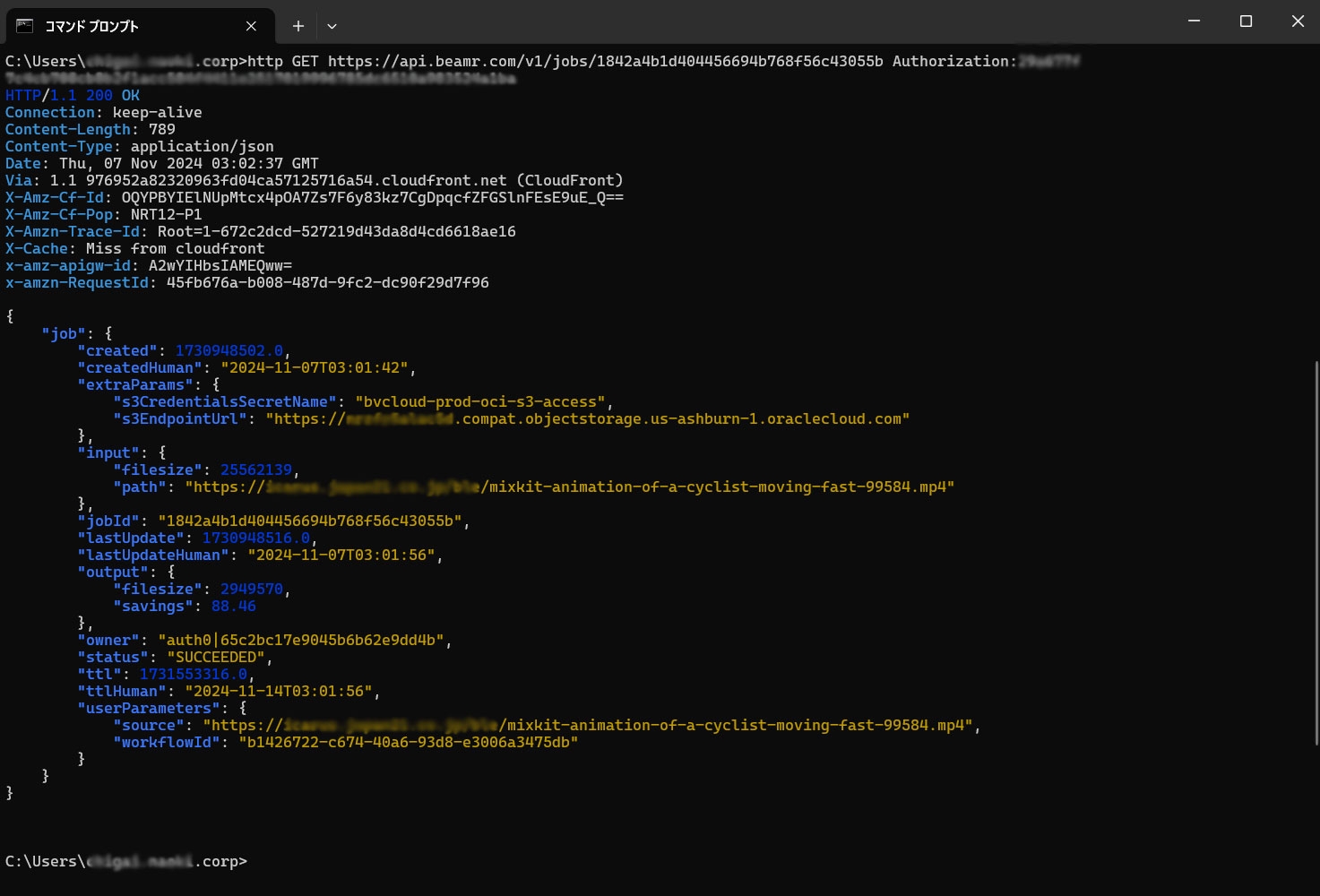 展示イメージ1:コマンドラインによるAPI操作