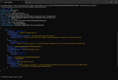 展示イメージ１：コマンドラインによるAPI操作
