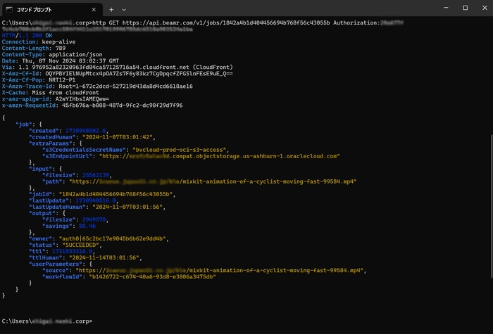展示イメージ1:コマンドラインによるAPI操作