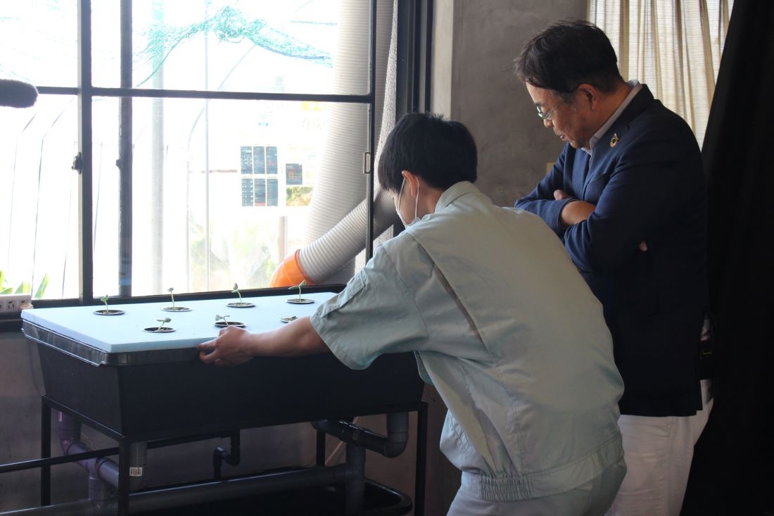 野菜の育ち具合を見る山本准教授