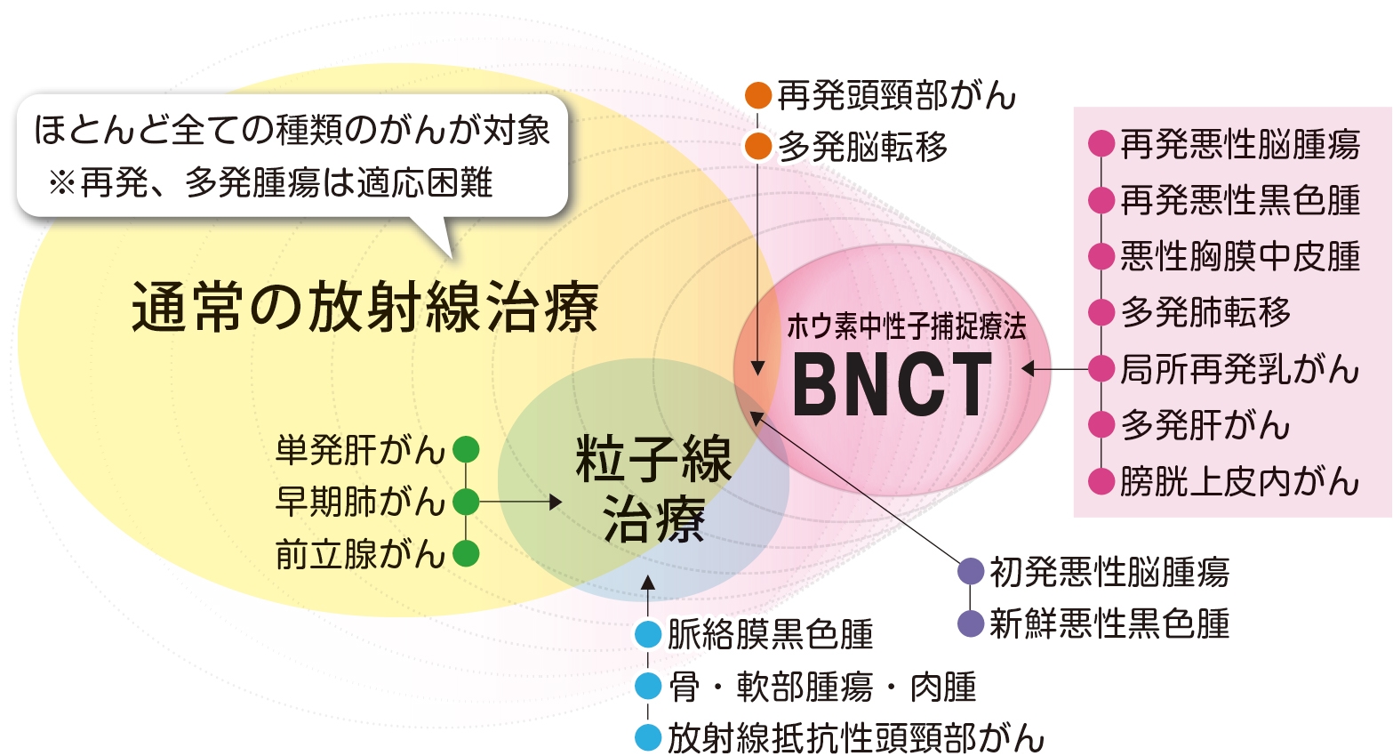京都大学複合原子力科学研究所 提供