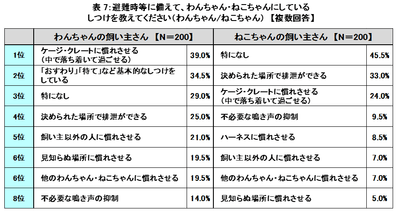 JLS6JxeHqwNdLGtZJT9t.png?w=940&h=940