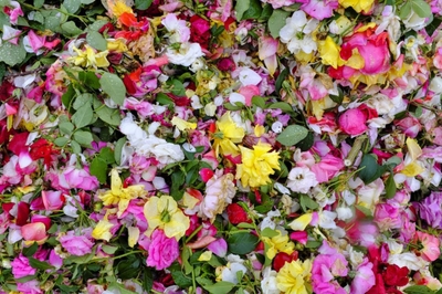 JLdvXRYIhMuIyiUkbOl6.jpg?w=940&h=940