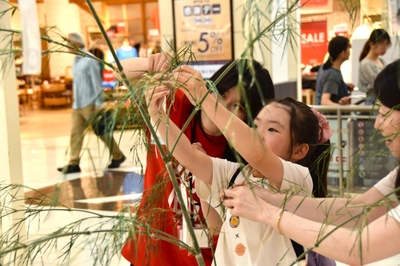 笹に願いを書いた短冊を取り付け