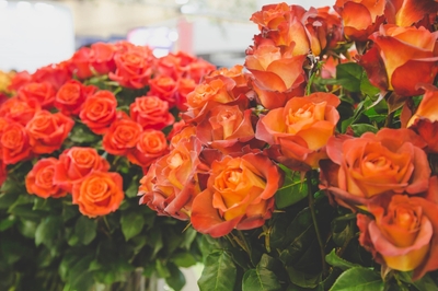 JMCDUA9M9tOAs0SdSreK.jpg?w=940&h=940