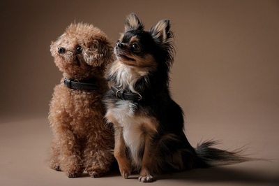 JMV5VYDj5qm1s6IBiASK.jpg?w=940&h=940