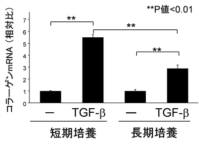 図2