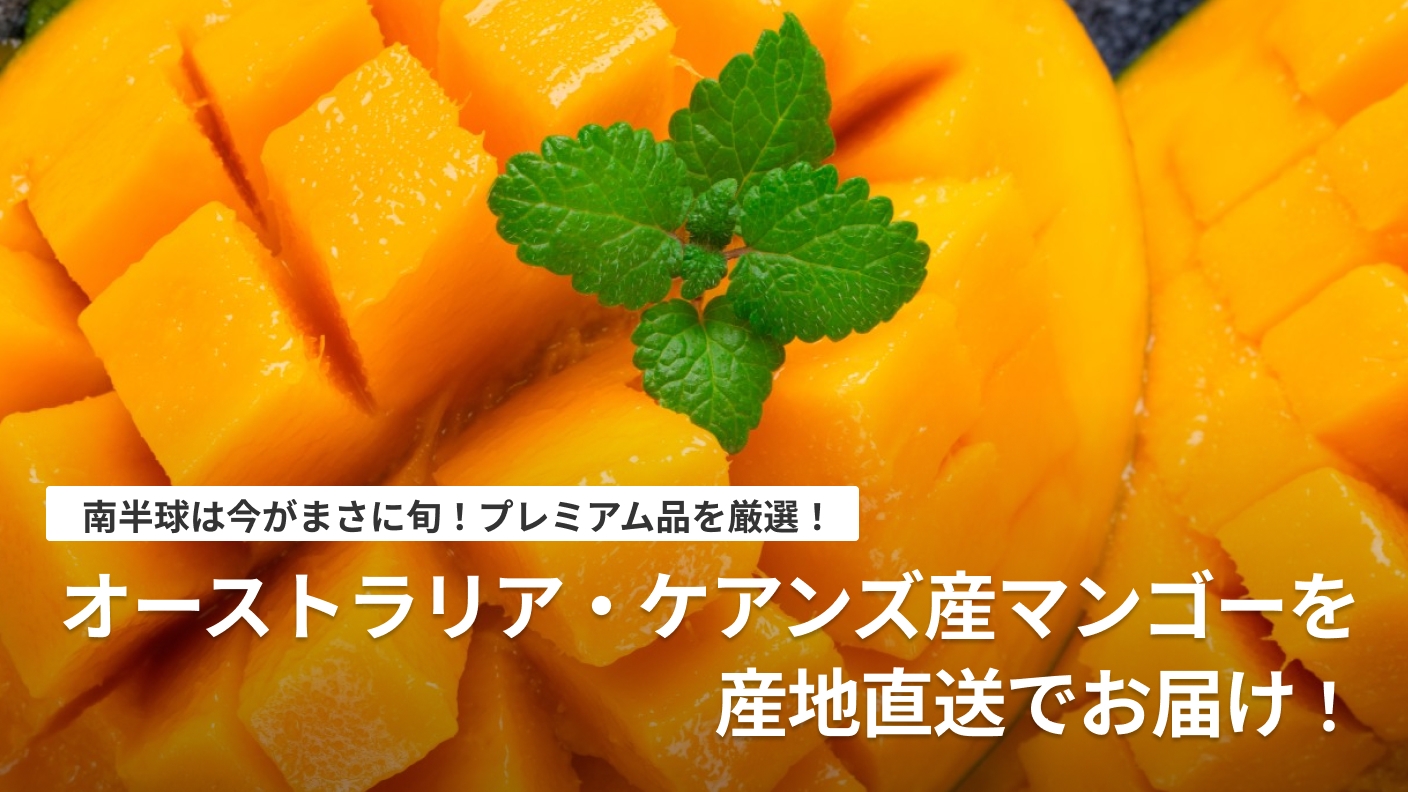 【南半球は今が旬】オーストラリア・ケアンズ産・露地栽培の極上高級マンゴーを産地直送でお届け！