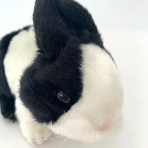 JN6yyyqA9rf9jcN1R3pv.jpg?w=940&h=940