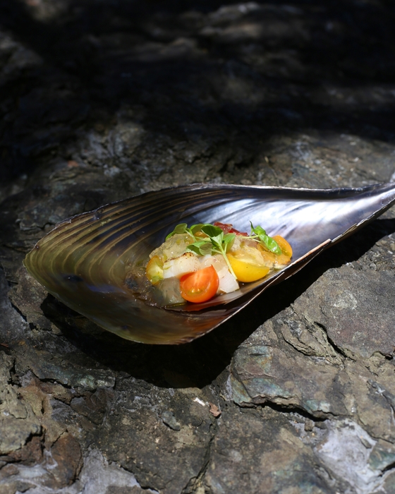 ＜大地×和×海×伊＞