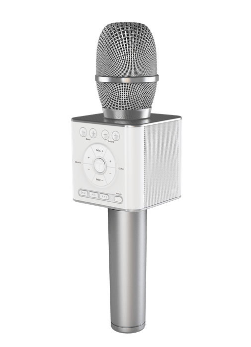 GP-BTDMIC/S(シルバー)