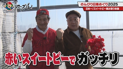 JPaaRu5LiX4XEtHa87Lh.jpg?w=940&h=940