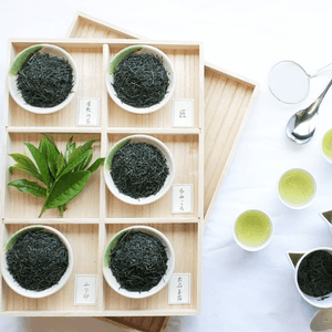 JQL8JorP5IHn2m710I4s.png?w=940&h=940