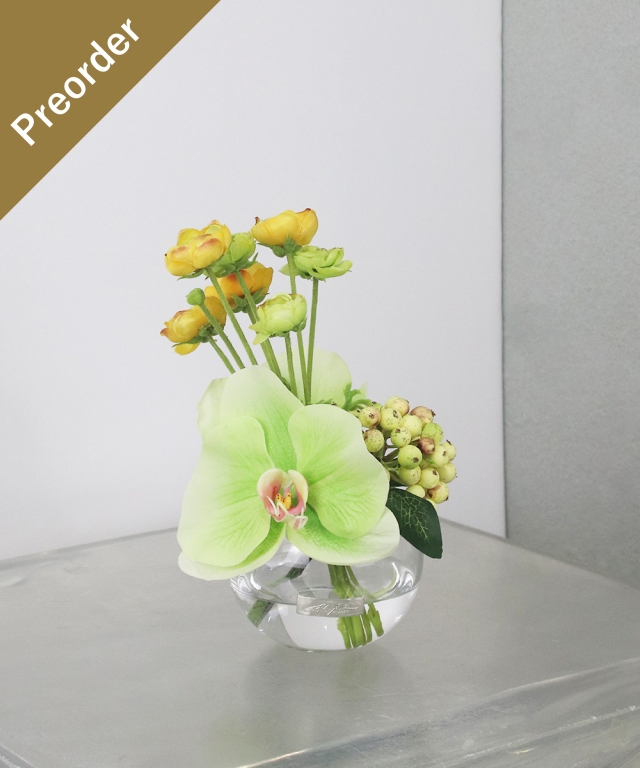 SDGsファレノプシスグリーン¥8,800税込