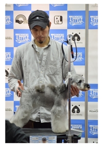 JQVIrr14w5ZcHcYJvMNW.jpg?w=940&h=940