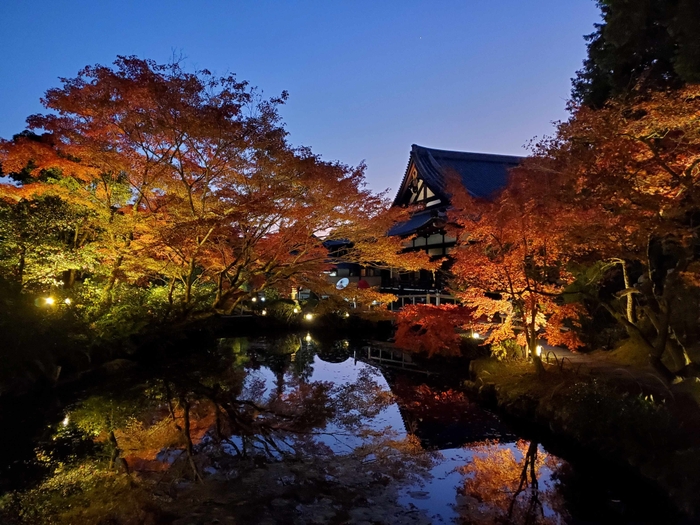 水面に映る紅葉が美しい庭園
