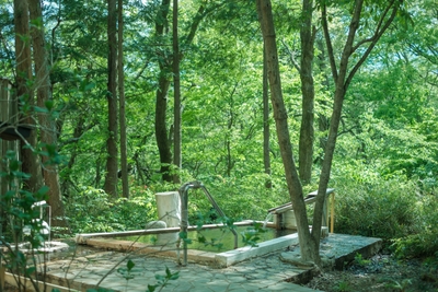 JS1Su39slzYCDMbwBAQv.jpg?w=940&h=940