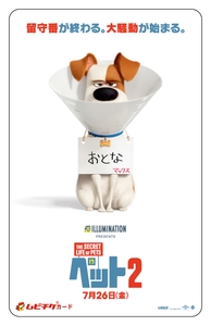 JSoEC0N140cZuVOW5eL7.jpg?w=940&h=940