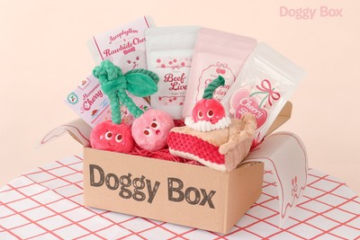 Doggy Box　※イメージ（一箱での特典はゆとりろ雫石／くにさき森と海のドッグリゾート対象）