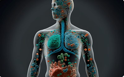 JT4TF9GCwifG0qDOM8jd.png?w=940&h=940