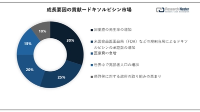Doxorubicin Market