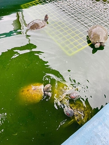 JUVRMVUxTeKyY5mi5FIM.jpg?w=940&h=940