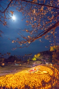 JVSKHGbzuiKXxGsO9sqi.jpg?w=940&h=940