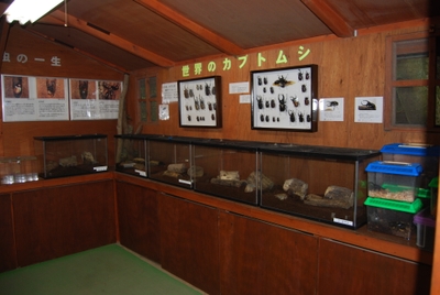 JW9IWwzrA5HlVpnUuof9.jpg?w=940&h=940