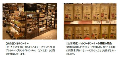 JWeenFaNwQYcMiekBu9o.png?w=940&h=940