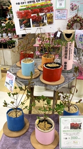 JWlkfgO9B0tsbLw8eZcf.jpg?w=940&h=940