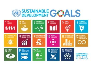 JX5L69boIZ3zOtNo1ANw.png?w=940&h=940