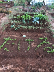 JYWGtyQE5uZwx1DhTSze.jpg?w=940&h=940