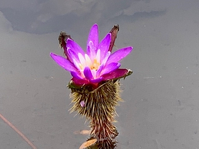 JZ5id7ozZ9ylQhvaSsm4.jpg?w=940&h=940