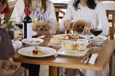 JZ8s0iT1mMR1JihANhSb.jpg?w=940&h=940