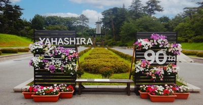 【八柱霊園 開園90周年記念事業】11/22(土)に「90周年特別版 紅葉まつり」を実施します！