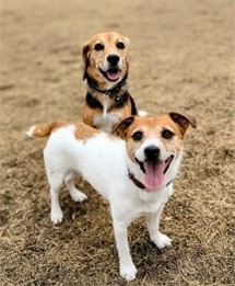 Jai0pKjHFJb5vzxF4lsS.jpg?w=940&h=940