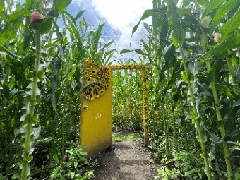 JbN7CaaBAu2KyWCibCkW.jpeg?w=940&h=940